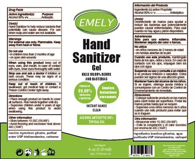 120 mL Gel (Emely Hand Sanitizer Gel 120 mL)